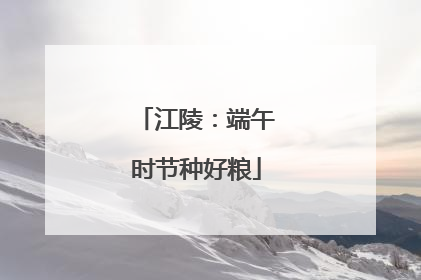 江陵：端午时节种好粮