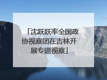 沈跃跃率全国政协视察团在吉林开展专题视察