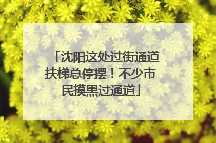 沈阳这处过街通道扶梯总停摆！不少市民摸黑过通道