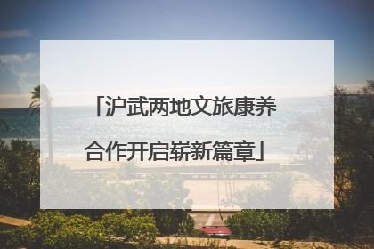 沪武两地文旅康养合作开启崭新篇章