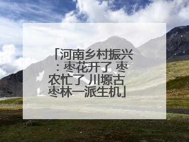 河南乡村振兴：枣花开了 枣农忙了 川塬古枣林一派生机