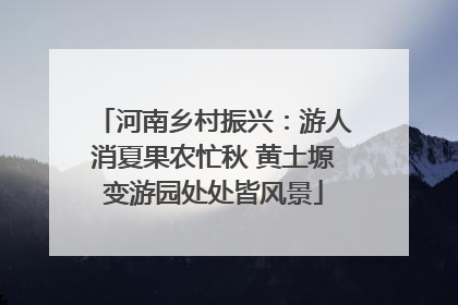 河南乡村振兴：游人消夏果农忙秋 黄土塬变游园处处皆风景