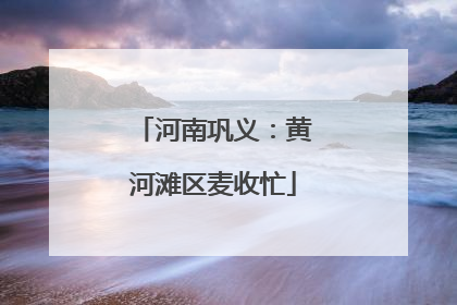 河南巩义：黄河滩区麦收忙