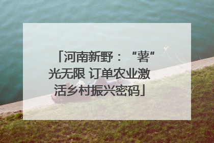 河南新野：“薯”光无限 订单农业激活乡村振兴密码