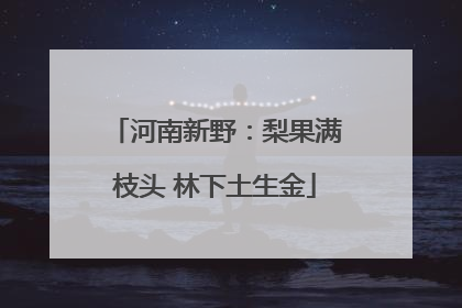 河南新野：梨果满枝头 林下土生金