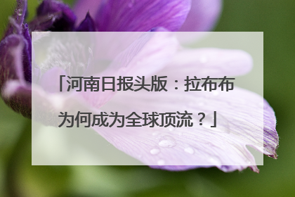 河南日报头版：拉布布为何成为全球顶流？
