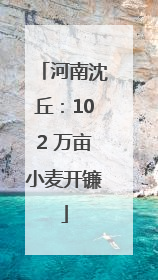 河南沈丘：102 万亩小麦开镰