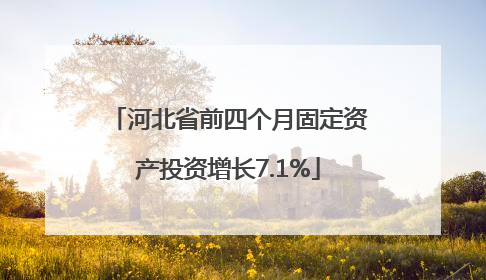 河北省前四个月固定资产投资增长7.1%