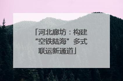 河北廊坊：构建“空铁陆海”多式联运新通道
