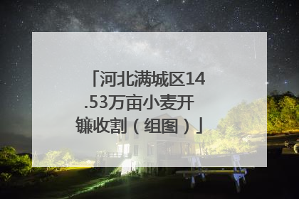 河北满城区14.53万亩小麦开镰收割（组图）