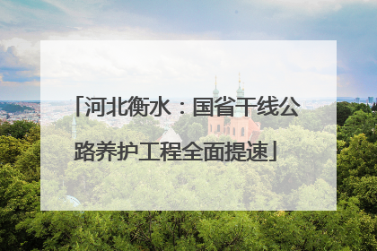 河北衡水：国省干线公路养护工程全面提速