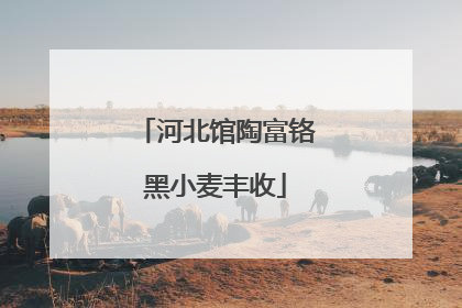 河北馆陶富铬黑小麦丰收