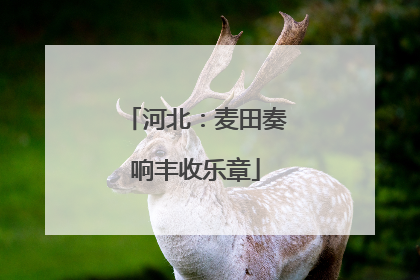 河北：麦田奏响丰收乐章