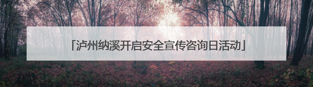 泸州纳溪开启安全宣传咨询日活动