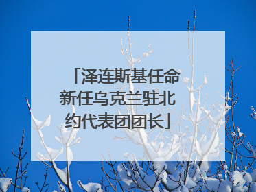泽连斯基任命新任乌克兰驻北约代表团团长