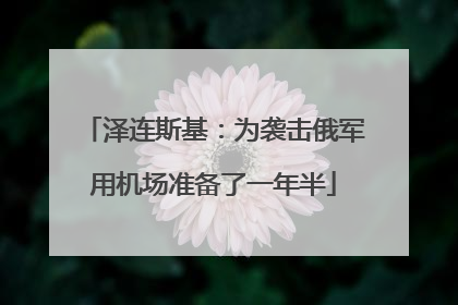 泽连斯基：为袭击俄军用机场准备了一年半