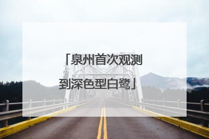 泉州首次观测到深色型白鹭