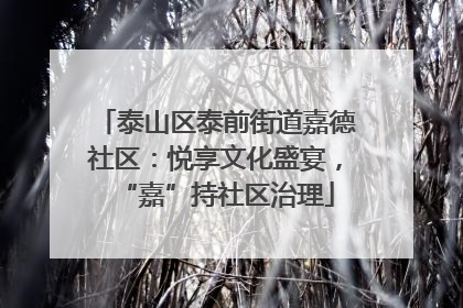 泰山区泰前街道嘉德社区：悦享文化盛宴，“嘉”持社区治理