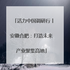 活力中国调研行丨安徽合肥：打造未来产业聚集高地
