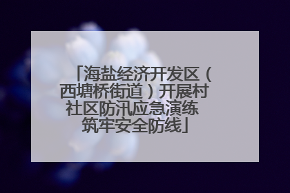海盐经济开发区（西塘桥街道）开展村社区防汛应急演练 筑牢安全防线