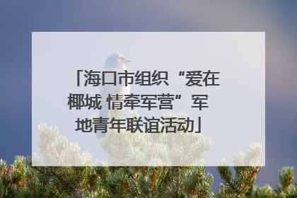 海口市组织“爱在椰城 情牵军营”军地青年联谊活动