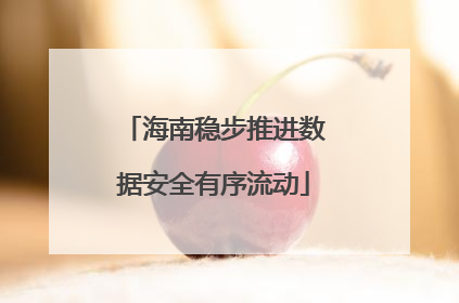 海南稳步推进数据安全有序流动