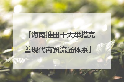 海南推出十大举措完善现代商贸流通体系