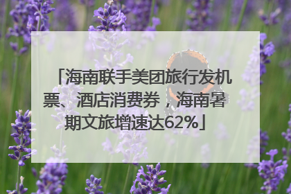 海南联手美团旅行发机票、酒店消费券，海南暑期文旅增速达62%
