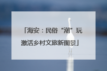 海安：民俗“潮”玩激活乡村文旅新图景