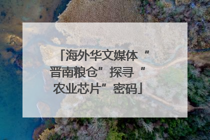 海外华文媒体“晋南粮仓”探寻“农业芯片”密码