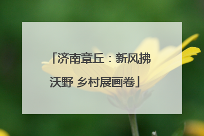 济南章丘：新风拂沃野 乡村展画卷