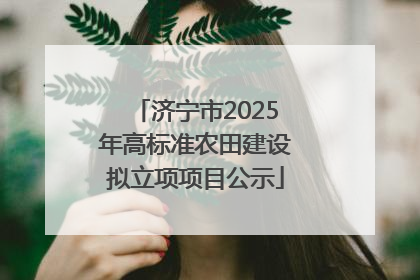 济宁市2025年高标准农田建设拟立项项目公示