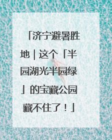 济宁避暑胜地｜这个「半园湖光半园绿」的宝藏公园藏不住了！