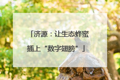 济源：让生态蜂蜜插上“数字翅膀”