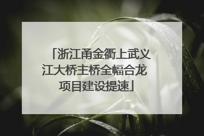 浙江甬金衢上武义江大桥主桥全幅合龙 项目建设提速