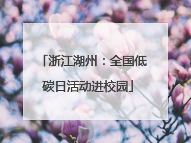 浙江湖州：全国低碳日活动进校园