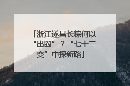 浙江遂昌长粽何以“出圈”？“七十二变”中探新路