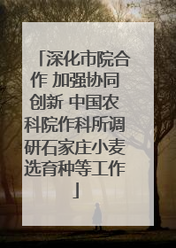 深化市院合作 加强协同创新 中国农科院作科所调研石家庄小麦选育种等工作