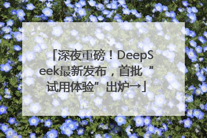 深夜重磅！DeepSeek最新发布，首批“试用体验”出炉→