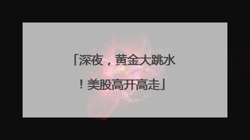 深夜，黄金大跳水！美股高开高走