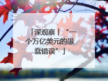 深观察丨“一个万亿美元的愚蠢错误”