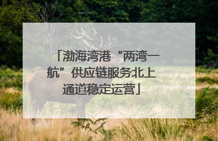渤海湾港“两湾一航”供应链服务北上通道稳定运营