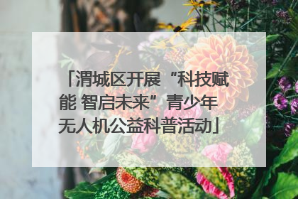 渭城区开展“科技赋能 智启未来”青少年无人机公益科普活动