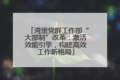 湾里党群工作部“大部制”改革：激活效能引擎，构建高效工作新格局