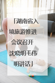 湖南省入境旅游推进会议召开 沈晓明毛伟明讲话