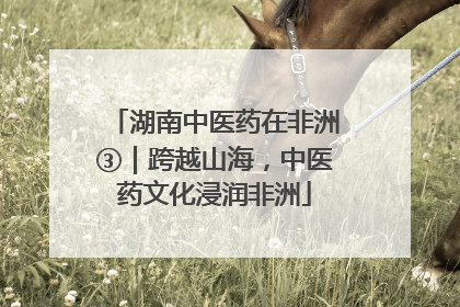 湖南中医药在非洲③｜跨越山海，中医药文化浸润非洲