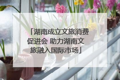 湖南成立文旅消费促进会 助力湖南文旅融入国际市场