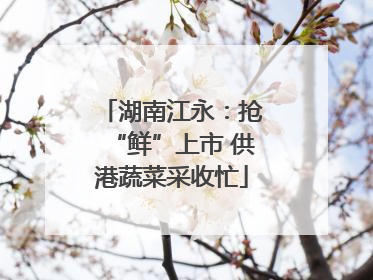 湖南江永：抢“鲜”上市 供港蔬菜采收忙