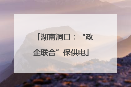 湖南洞口：“政企联合”保供电