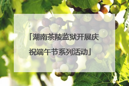 湖南茶陵监狱开展庆祝端午节系列活动